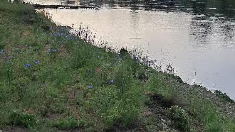 Donkey Island Trailhead - Spokane, WA