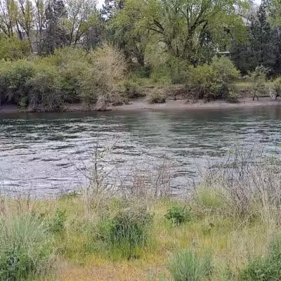 Donkey Island Trailhead - Spokane, WA