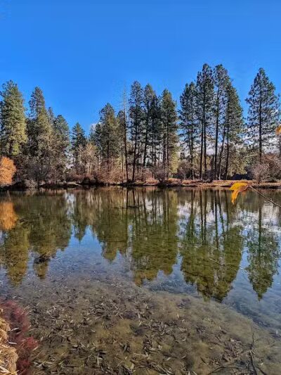 Donkey Island Trailhead - Spokane, WA