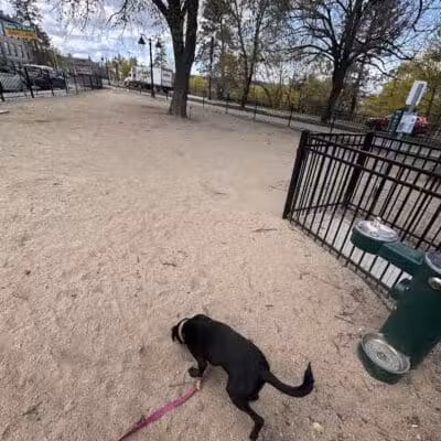Downtown Spokane Dog Park - Spokane, WA