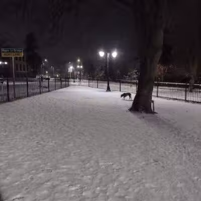 Downtown Spokane Dog Park - Spokane, WA
