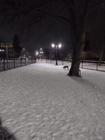 Downtown Spokane Dog Park - Spokane, WA