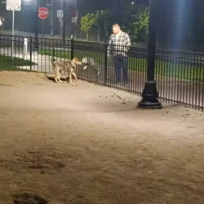 Downtown Spokane Dog Park - Spokane, WA