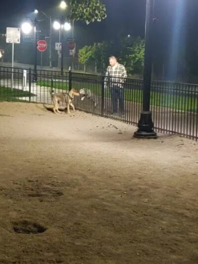 Downtown Spokane Dog Park - Spokane, WA