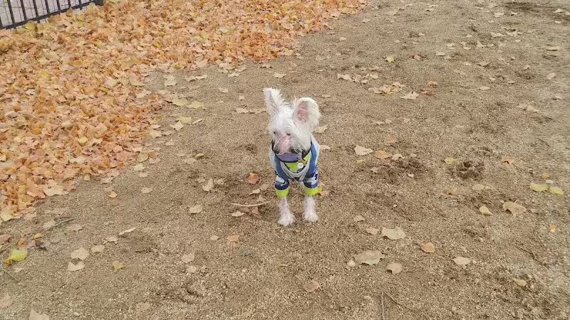 Downtown Spokane Dog Park - Spokane, WA