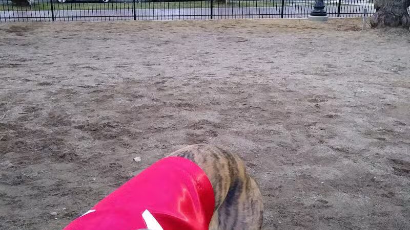 Downtown Spokane Dog Park - Spokane, WA