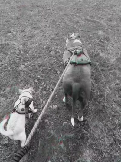 Drumheller Springs Park - Spokane, WA