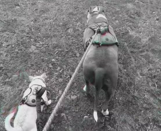 Drumheller Springs Park - Spokane, WA