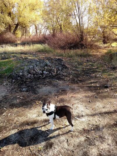 Drumheller Springs Park - Spokane, WA