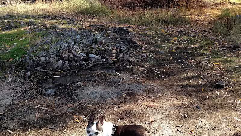 Drumheller Springs Park - Spokane, WA