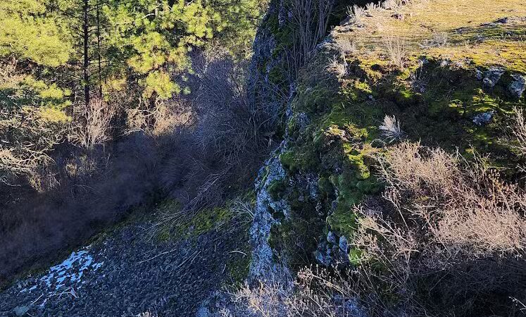 Drumheller Springs Park - Spokane, WA