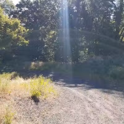 Drumheller Springs Park - Spokane, WA