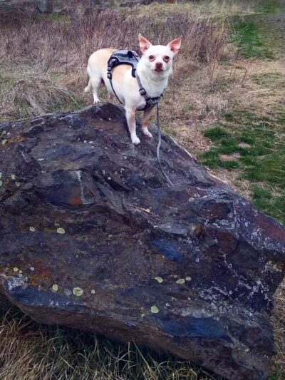 Drumheller Springs Park - Spokane, WA