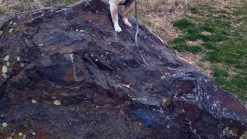 Drumheller Springs Park - Spokane, WA