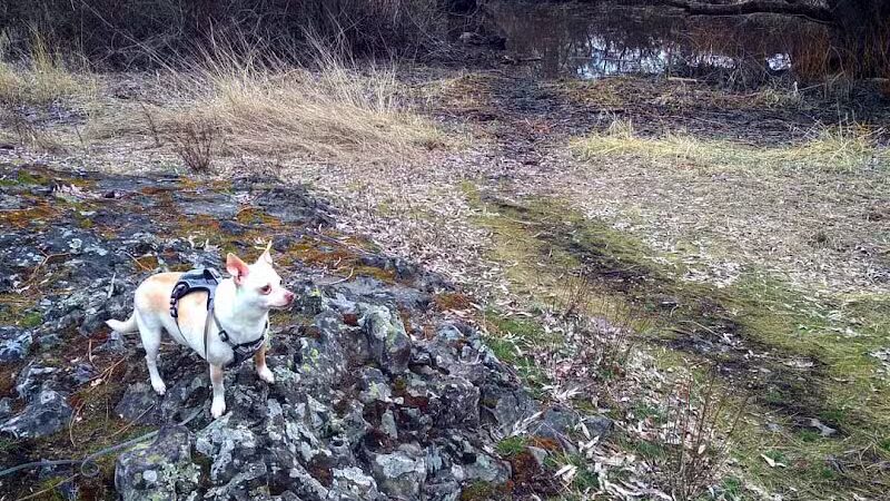 Drumheller Springs Park - Spokane, WA