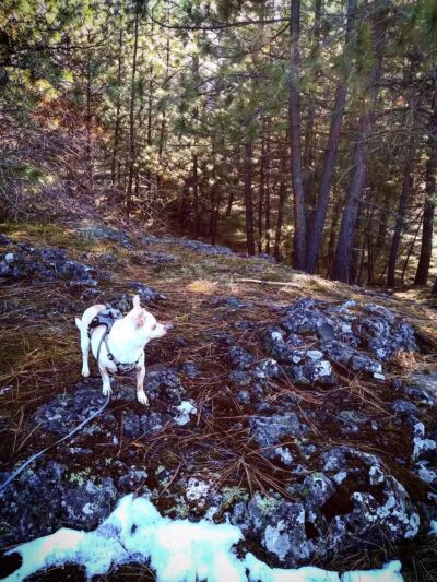 Drumheller Springs Park - Spokane, WA