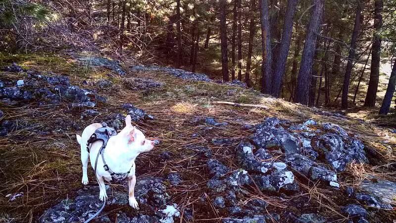 Drumheller Springs Park - Spokane, WA