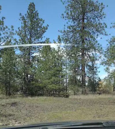 Drumheller Springs Park - Spokane, WA