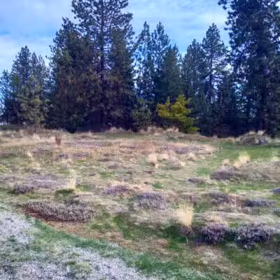 Drumheller Springs Park - Spokane, WA