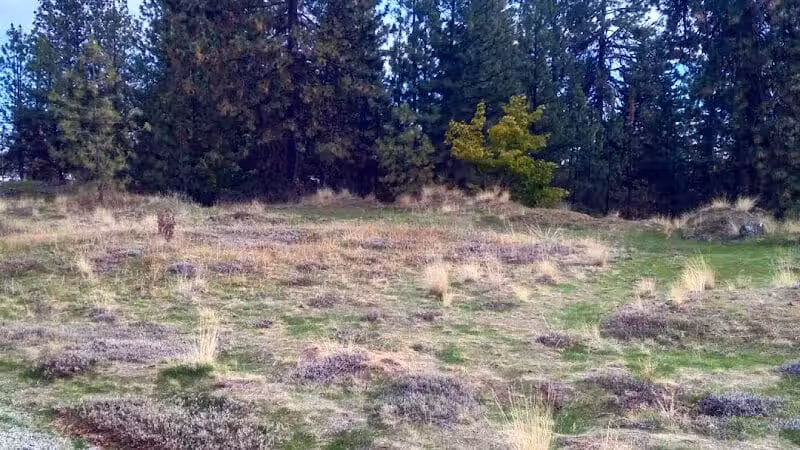 Drumheller Springs Park - Spokane, WA