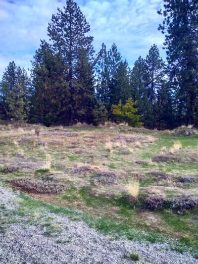 Drumheller Springs Park - Spokane, WA