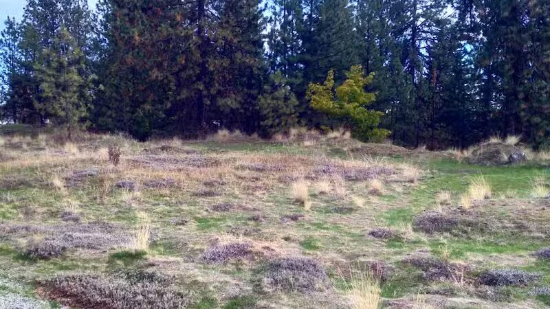 Drumheller Springs Park - Spokane, WA