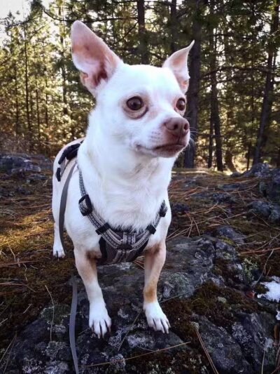 Drumheller Springs Park - Spokane, WA