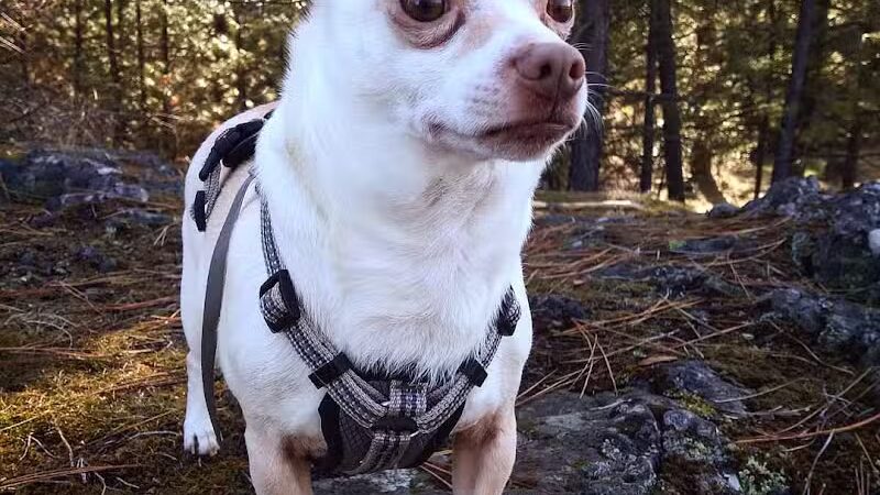 Drumheller Springs Park - Spokane, WA