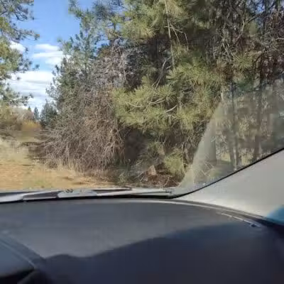 Drumheller Springs Park - Spokane, WA