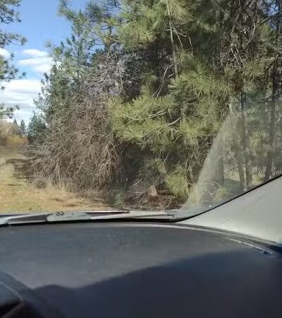 Drumheller Springs Park - Spokane, WA