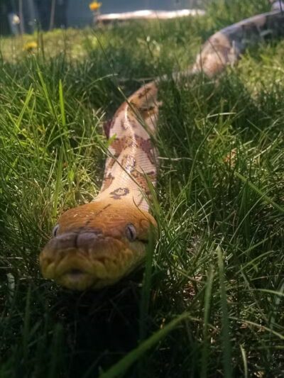 Fairview Park - Spokane, WA