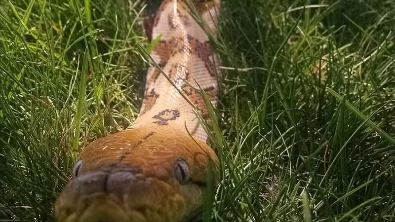 Fairview Park - Spokane, WA