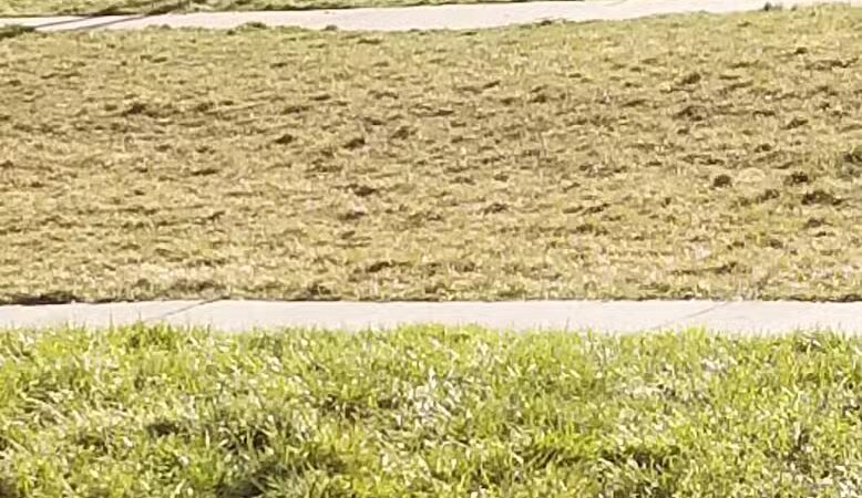 Fairview Park - Spokane, WA