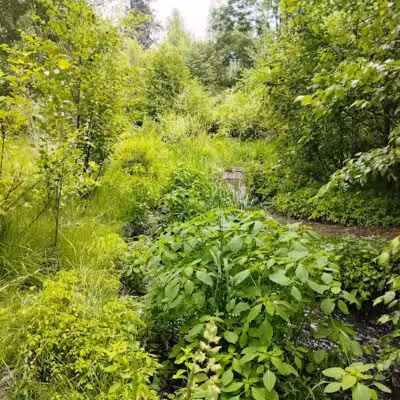 Finch Arboretum Woodland Center - Spokane, WA