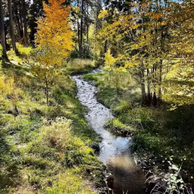 Finch Arboretum Woodland Center - Spokane, WA