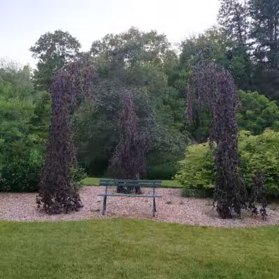 Finch Arboretum Woodland Center - Spokane, WA