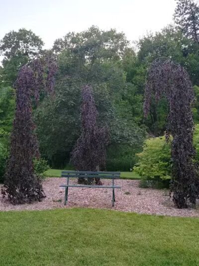 Finch Arboretum Woodland Center - Spokane, WA