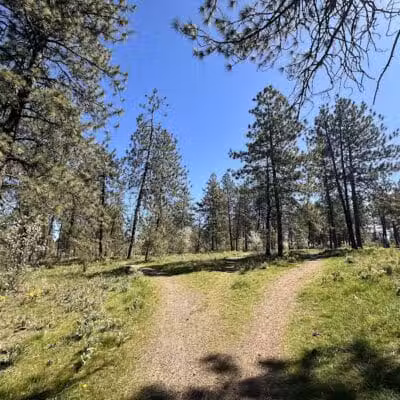 Hamblen Park - Spokane, WA