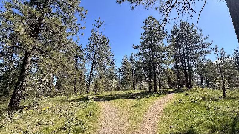 Hamblen Park - Spokane, WA