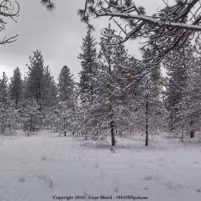Hamblen Park - Spokane, WA