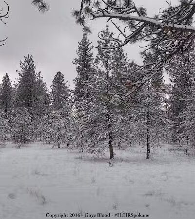 Hamblen Park - Spokane, WA
