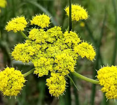 Hamblen Park - Spokane, WA