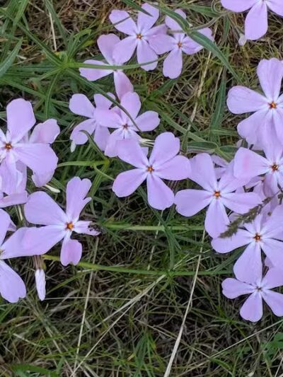 Hamblen Park - Spokane, WA