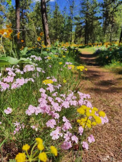 Hamblen Park - Spokane, WA