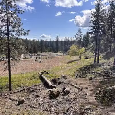 High Bridge Dog Park - Spokane, WA
