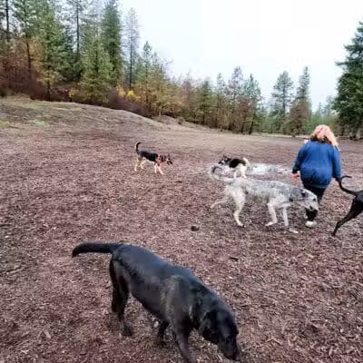 High Bridge Dog Park - Spokane, WA