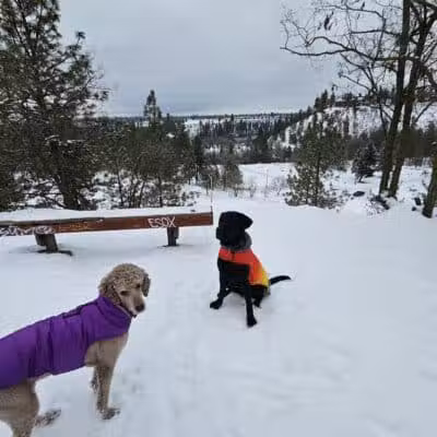 High Bridge Dog Park - Spokane, WA