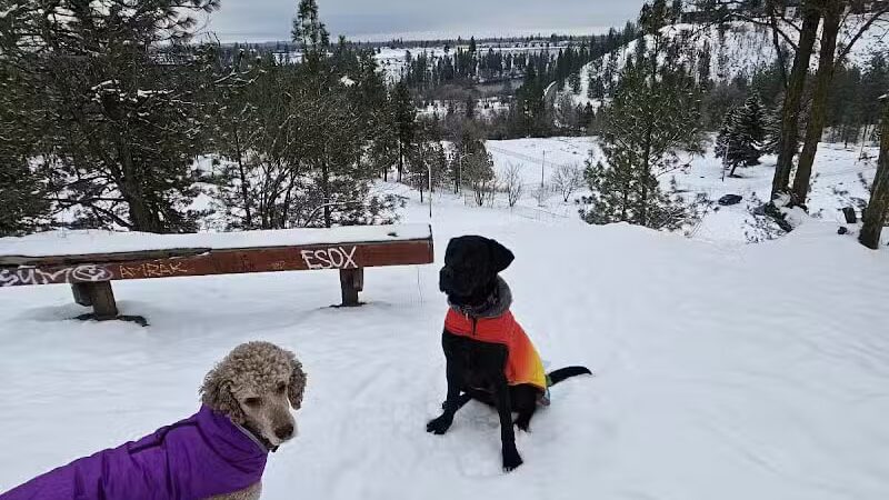 High Bridge Dog Park - Spokane, WA