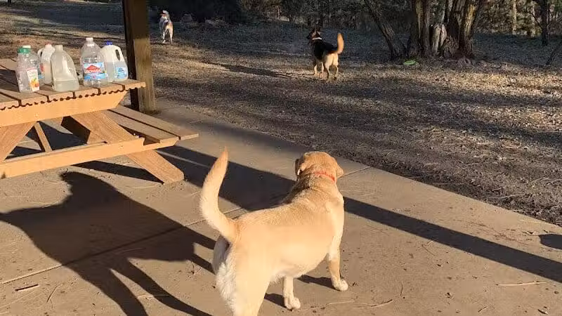 High Bridge Dog Park - Spokane, WA