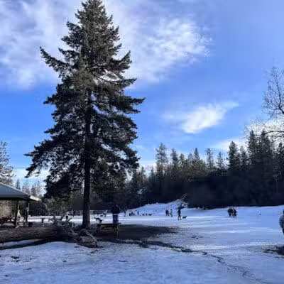 High Bridge Dog Park - Spokane, WA